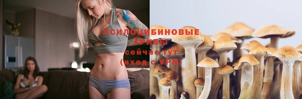 спайс Абинск