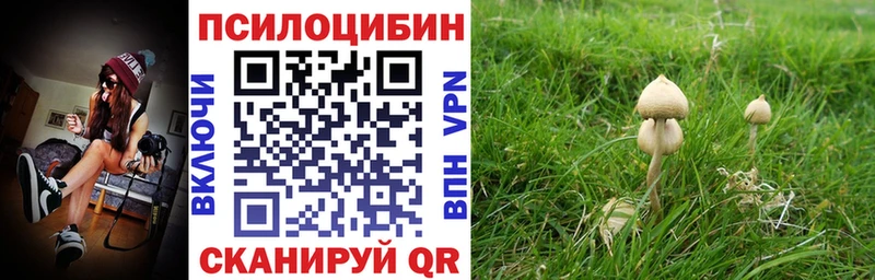 Псилоцибиновые грибы мицелий  Сыктывкар 